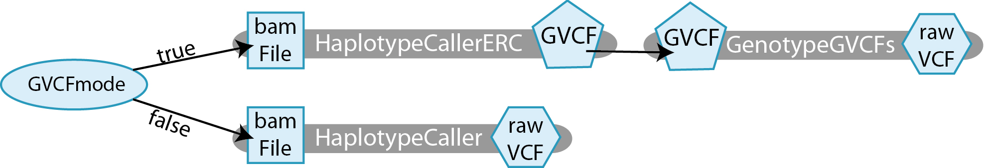 A diagram of a workflow that starts with the Boolean variable GVCFmode. If the Boolean is set to true, the workflow takes in a BAM file input and runs the task HaplotypeCallerERC, which produces a GVCF output. If the Boolean is false, the workflow takes in a a BAM input that runs through the task HaplotypeCaller, producing a raw VCF.
