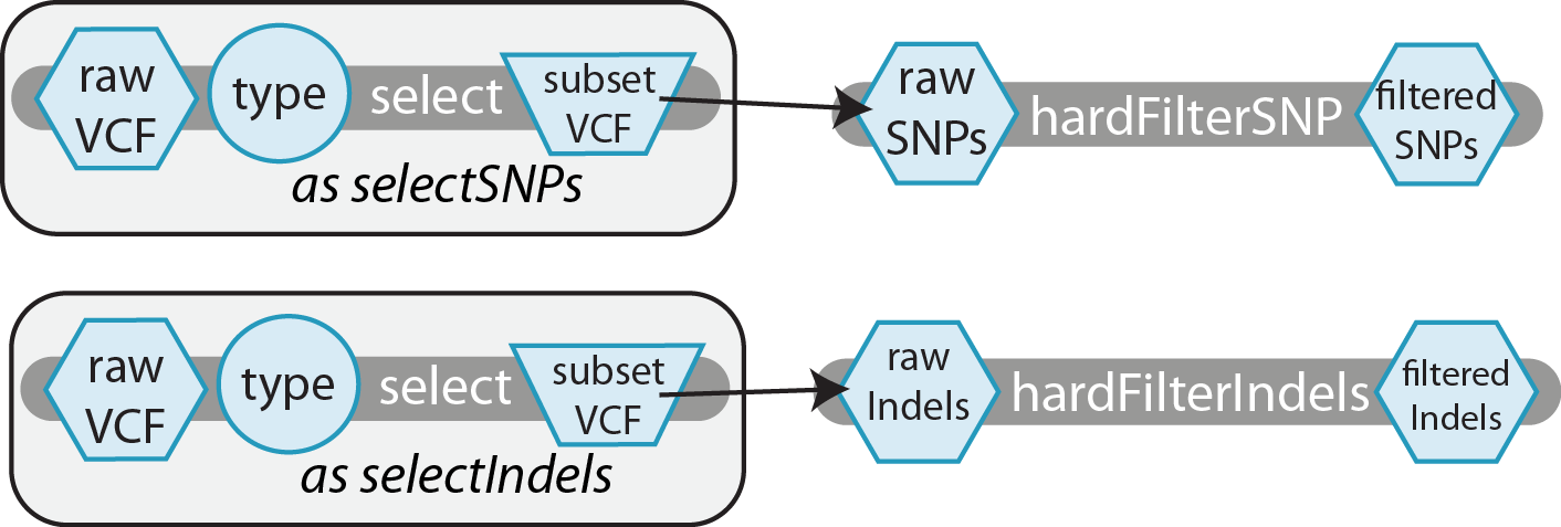 Diagram depicting how a raw VCF is used as input to the same task, "select" that is used with two different aliases; selectSNPs and selectIndels. The two separate outputs are then passed to two different tools, hardFileterSNPs and hardFilterIndels, respectively.